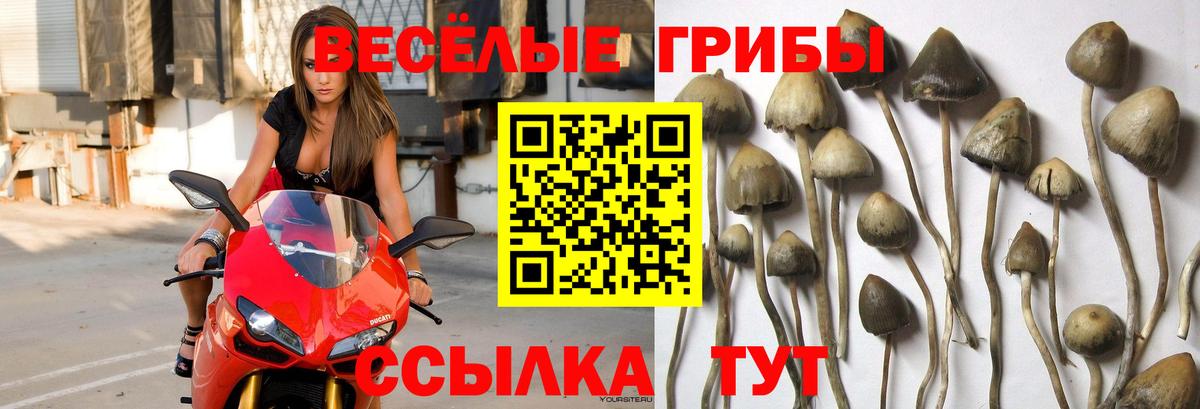 Псилоцибиновые грибы ЛСД Прохладный