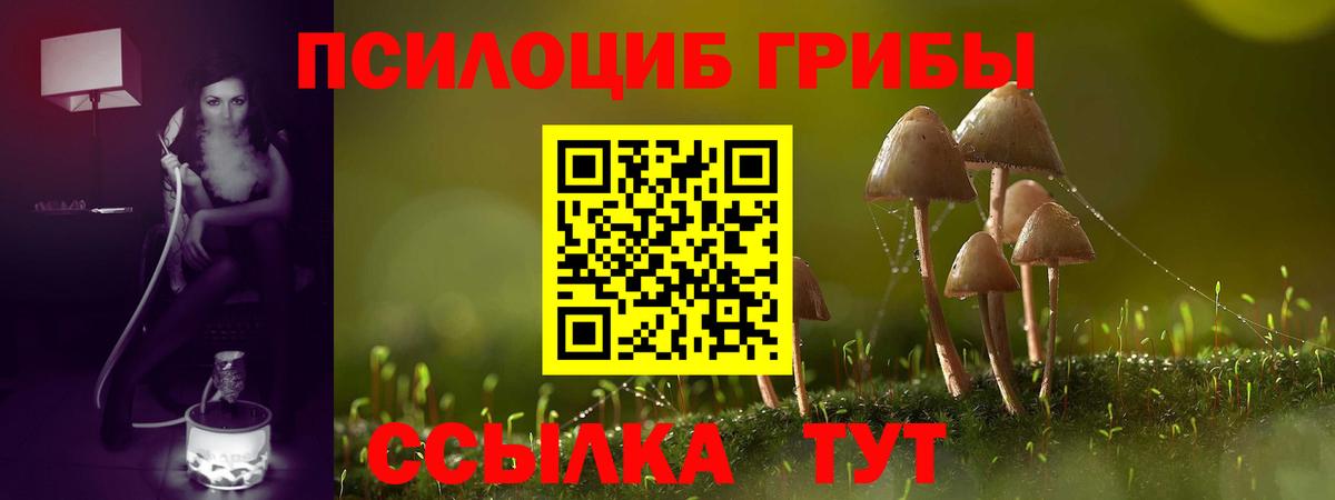 Псилоцибиновые грибы Psilocybine cubensis  Вход с VPN  цена наркотик  Псилоцибиновые грибы Magic Shrooms  Прохладный 
